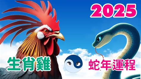 生肖屬雞|雞生肖：性格、愛情、健康、事業、五要素